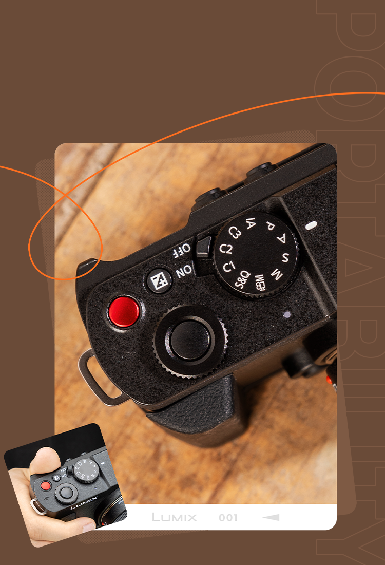 Cage for Panasonic LUMIX S9