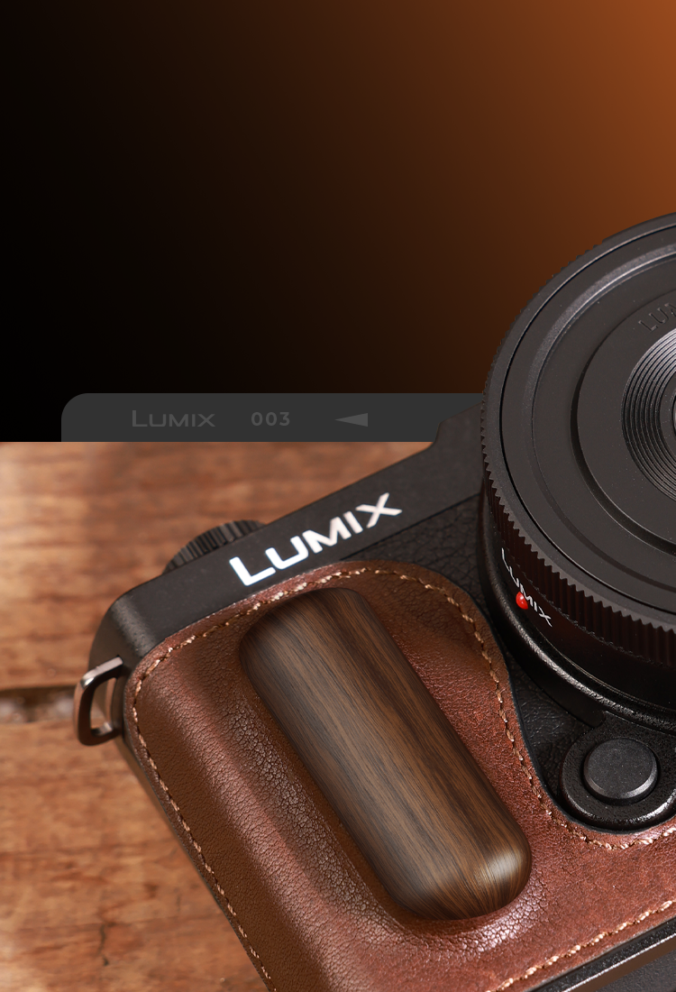 Leather Case for Panasonic S9