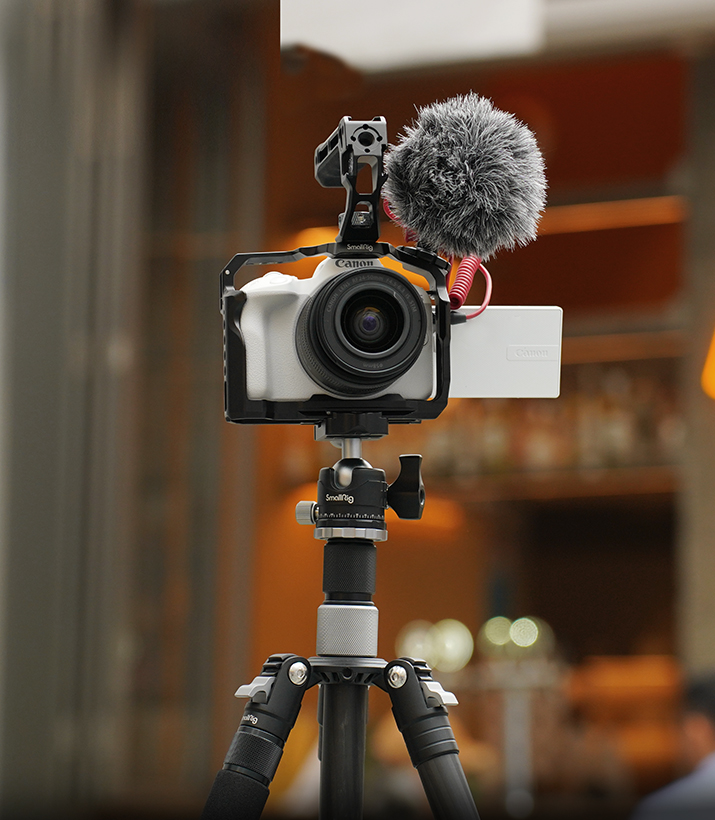 EOS R50 V レンズキット 三脚、50㎜レンズ付き CANON EOS R50 V RF-S14-30 IS STM PZ レンズキット [ホワイト] 価格