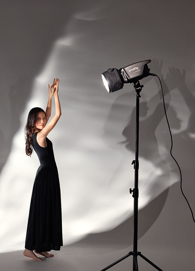 RA-F150 Fresnel Lens