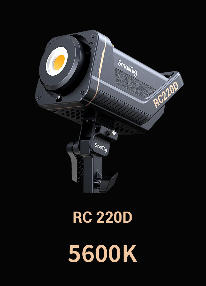 RC 220 Point-Source Video Light