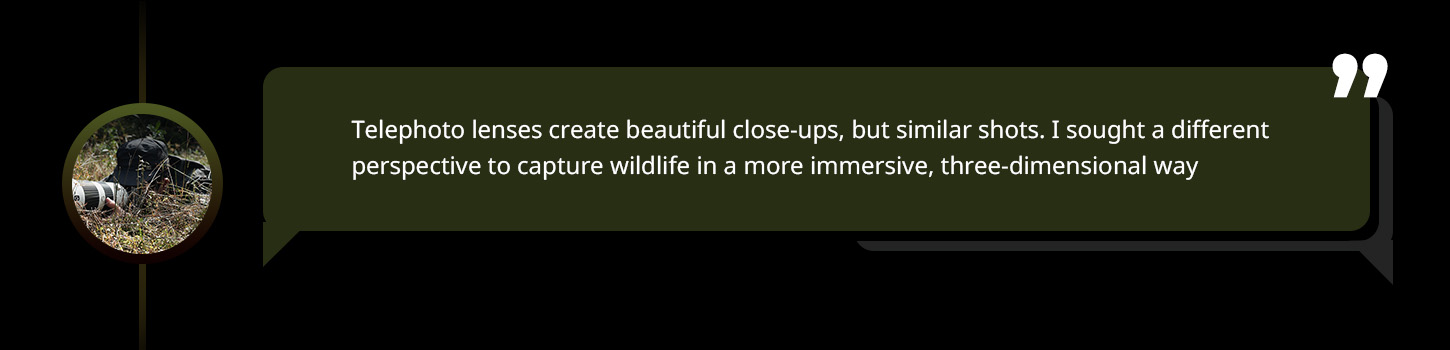 Langtrekkende trådløs repeater for DSLR/actionkameraer i naturfotografering