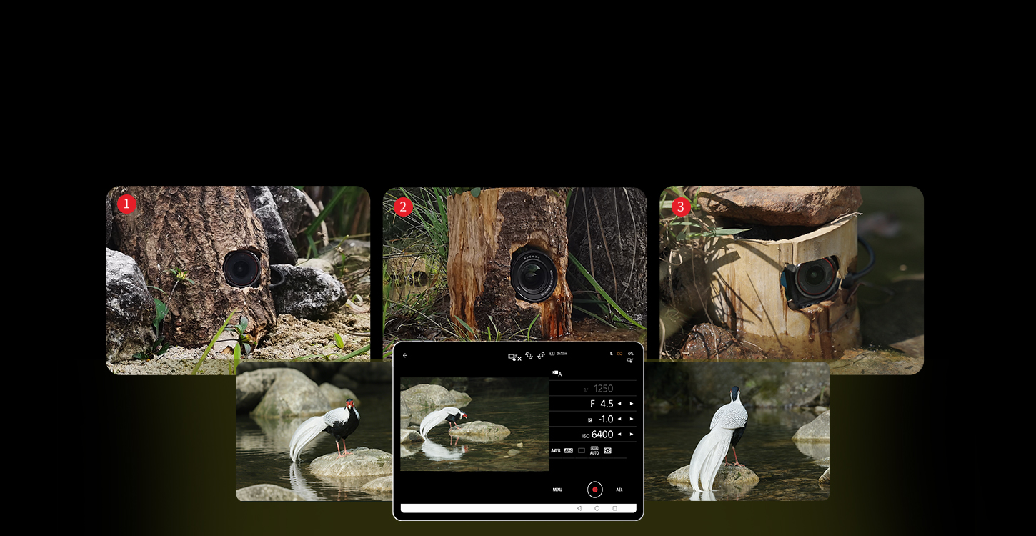 Langtrekkende trådløs repeater for DSLR/actionkameraer i naturfotografering