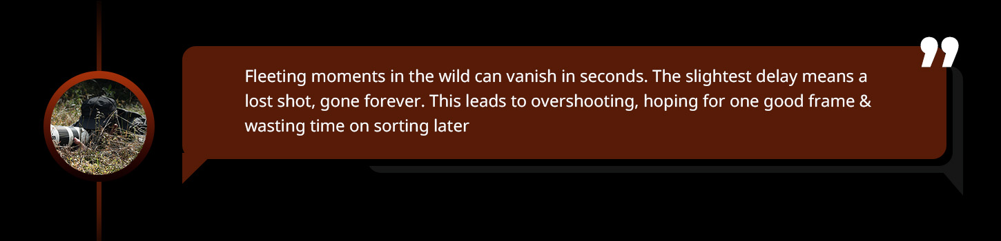 Langtrekkende trådløs repeater for DSLR/actionkameraer i naturfotografering