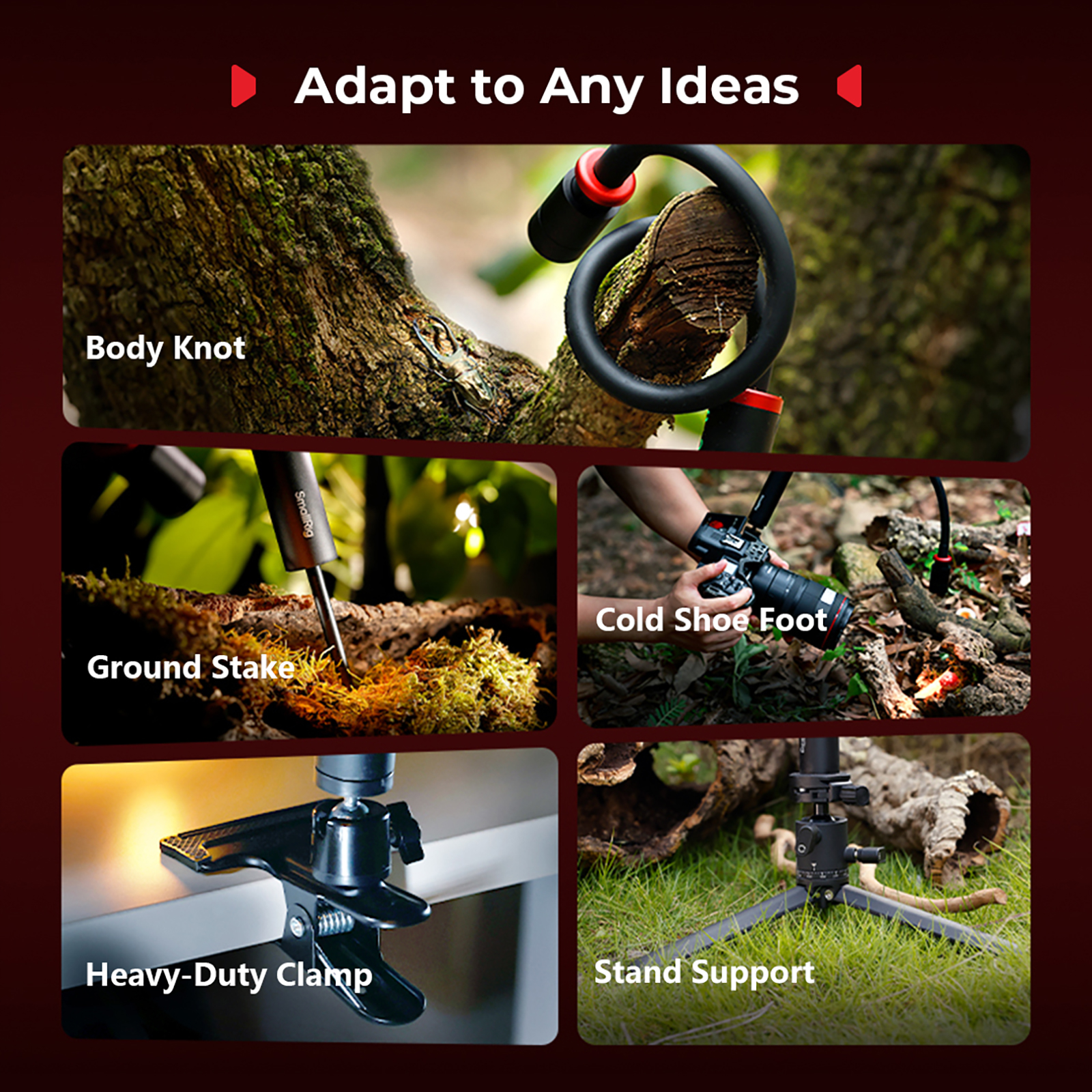 photography lighting
