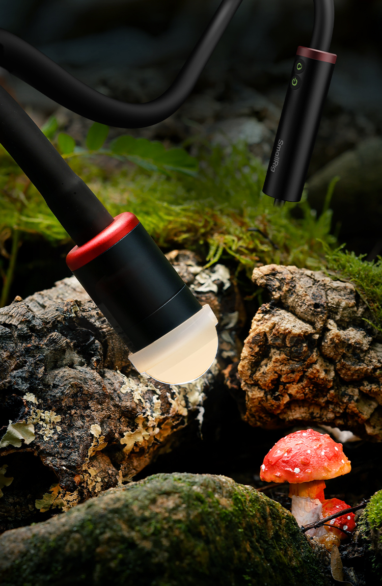 SmallRig: Camera Rigs | Tripods | Lighting | Accessories