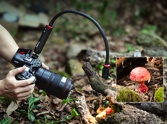 Camera Outdoor Macro Photography System(Light | SmallRig