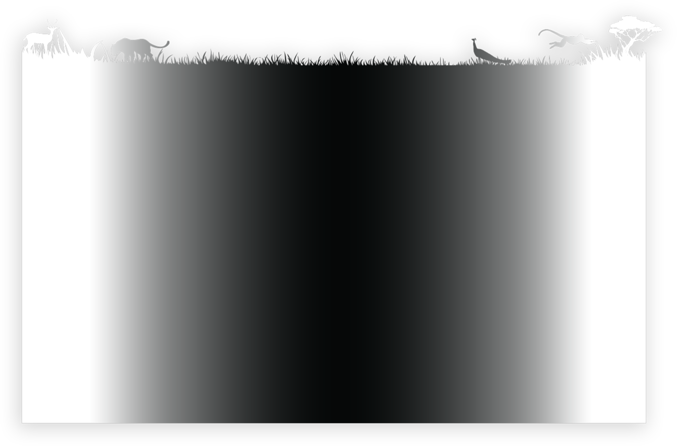 SmallRig-activiry/onSize/xizhinong-image